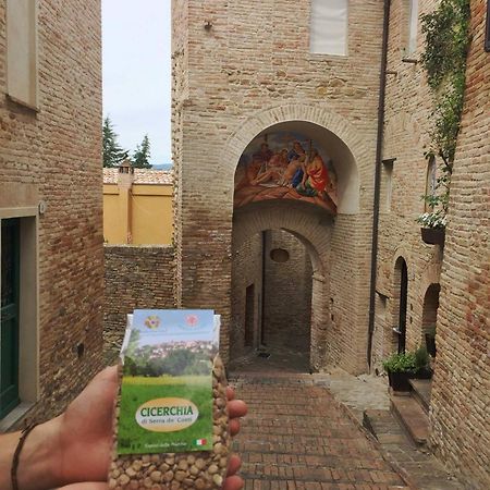B&B Le Stanze Del Chiostro Serra de' Conti ภายนอก รูปภาพ